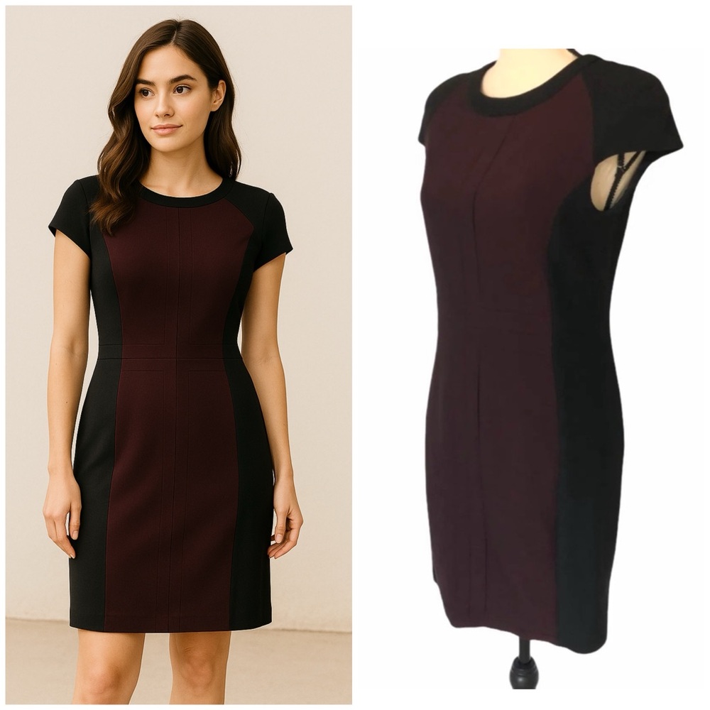 NWT Zara burgundy and black color block dress